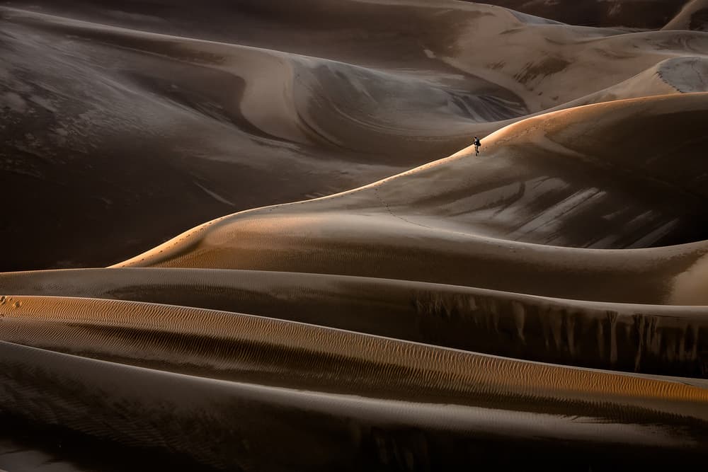 Walking Desert Dunes by Mohammadreza Momeni — canvas wall art