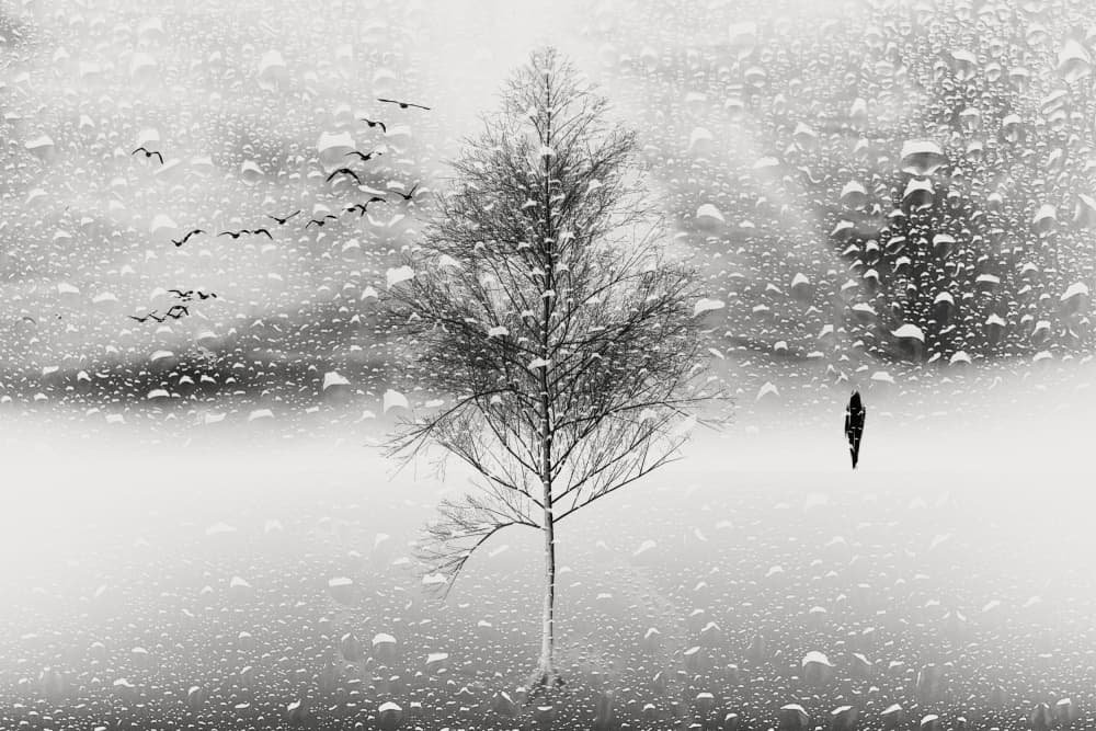 Winter Solitude Dream by Marchevca Bogdan — canvas wall art