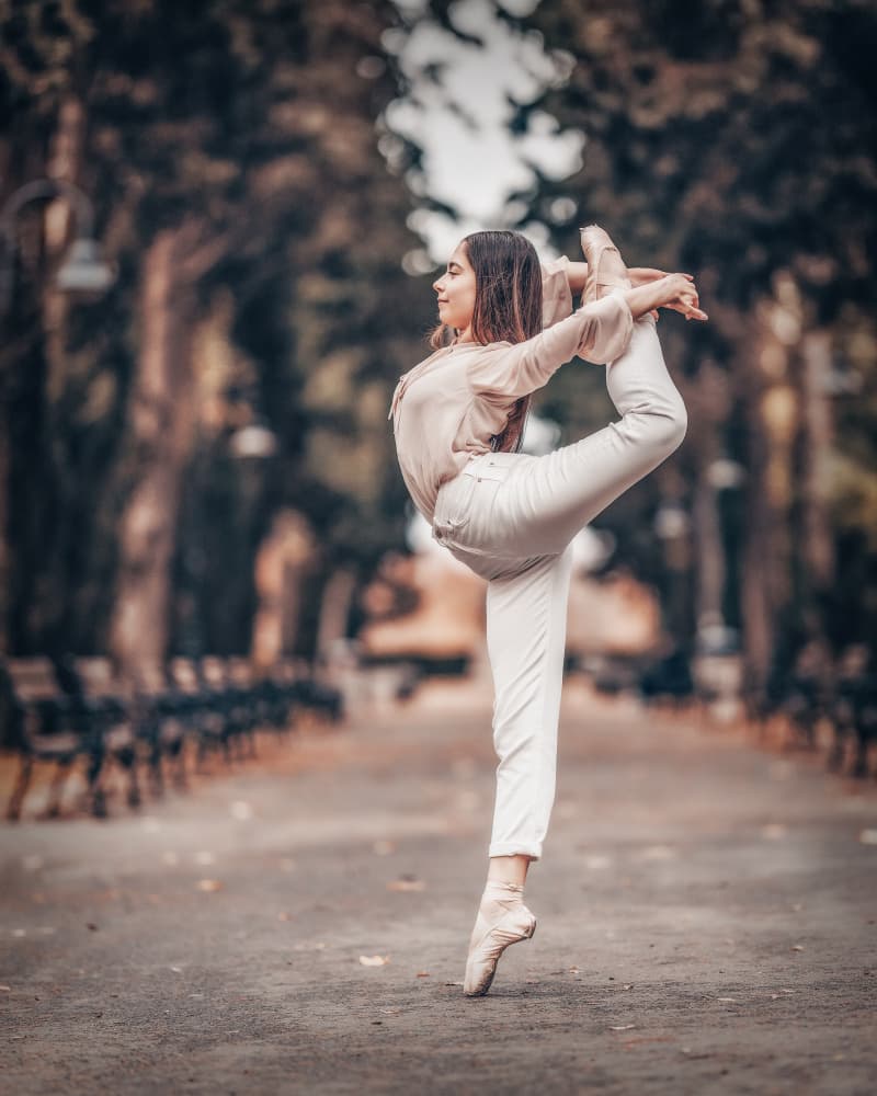 Graceful Ballet Dancer by Vasil Nanev — canvas wall art