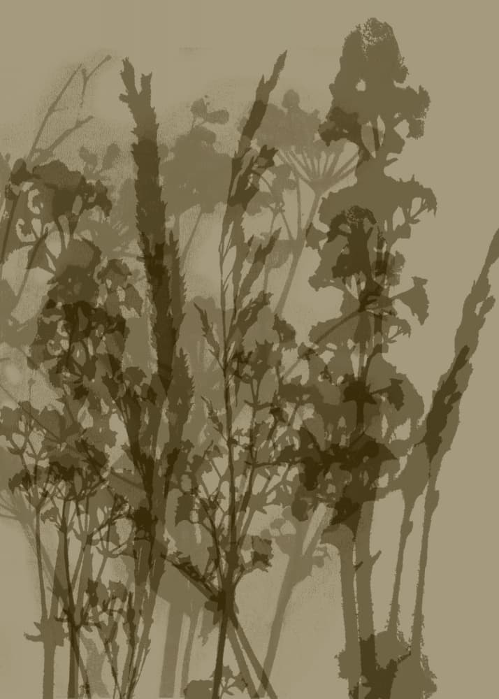Layered Botanical Silhouettes by Dina Dankers — canvas wall art
