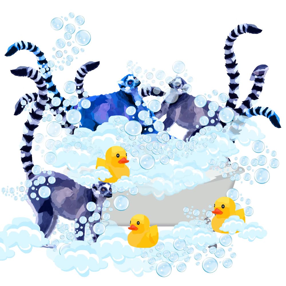 Lemurs Bubble Bath by Lynnda Rakos — canvas wall art