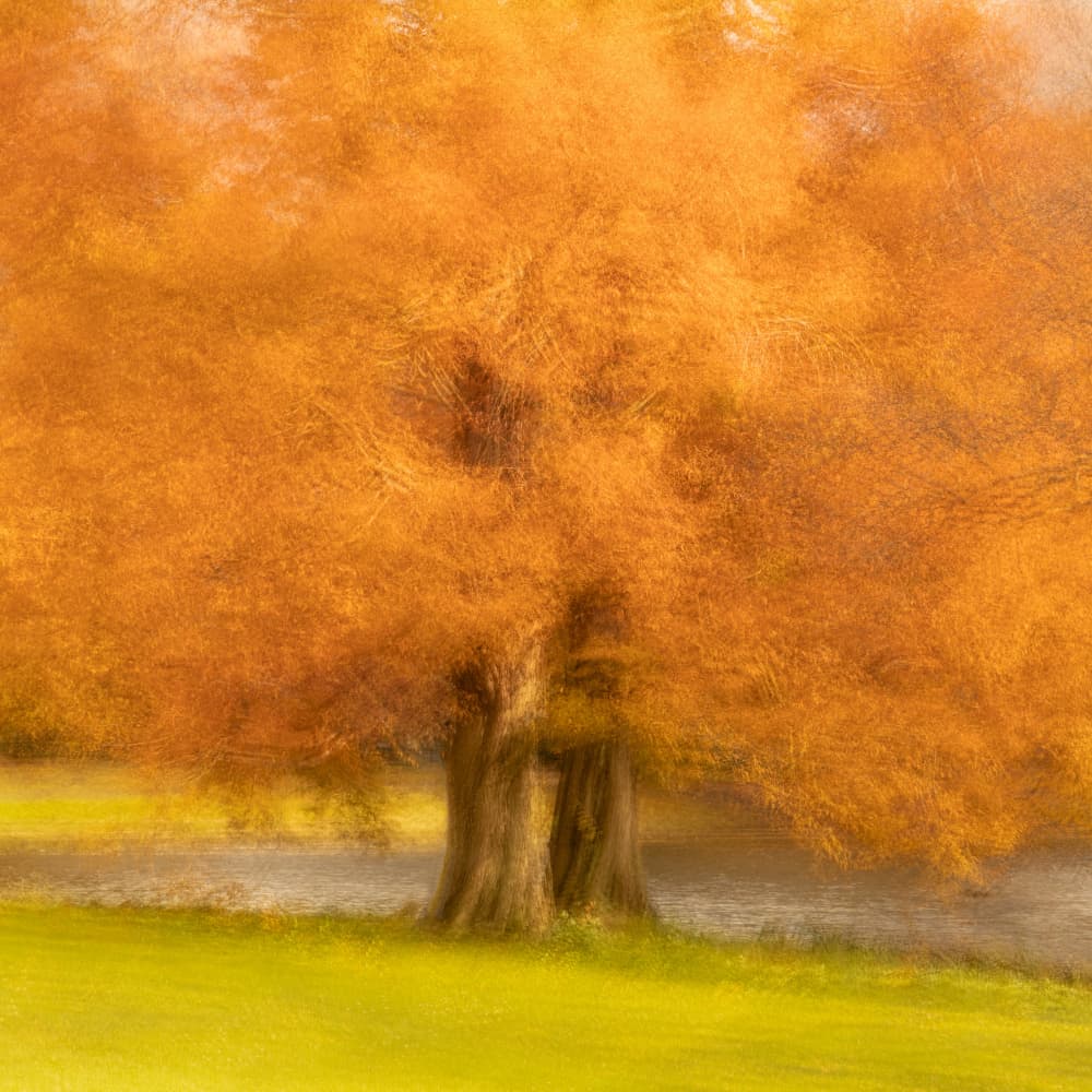 Golden Fall Waterside by brigitte van krimpen — canvas wall art