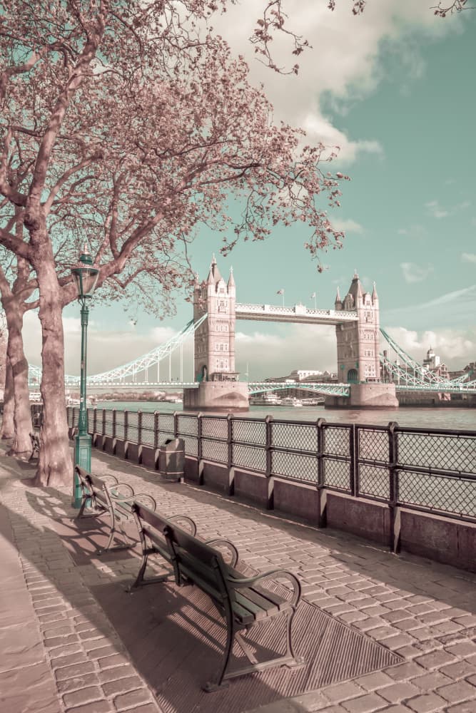 Spring Day Tower Bridge by Melanie Viola — canvas wall art