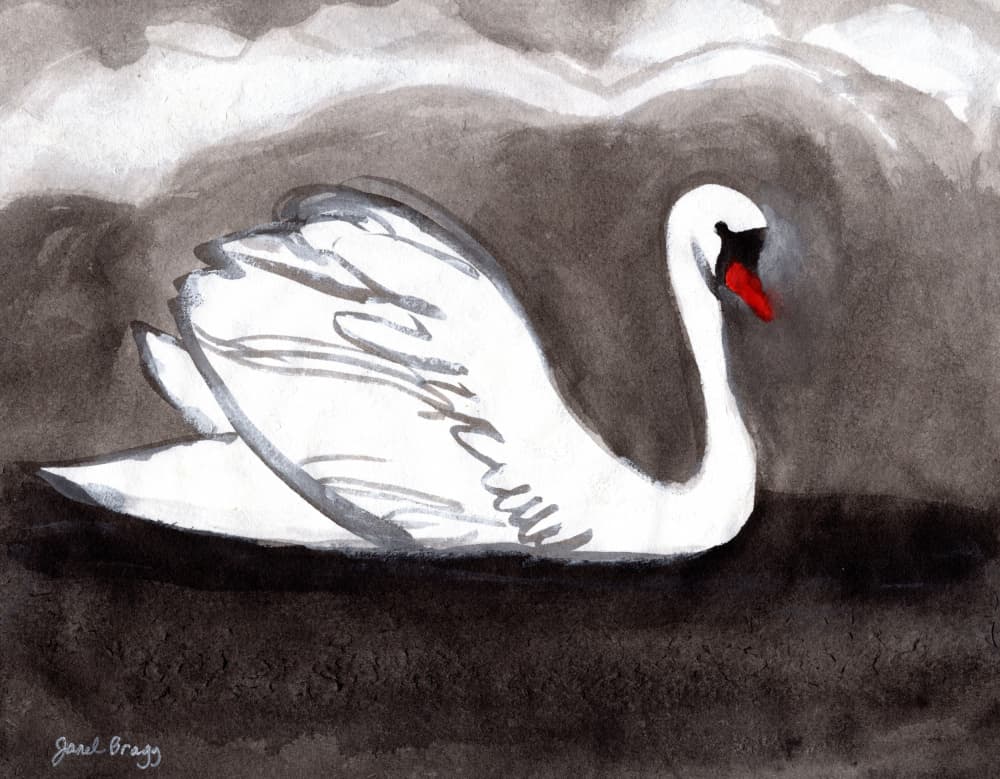 Elegant White Swan by Janel Bragg — canvas wall art