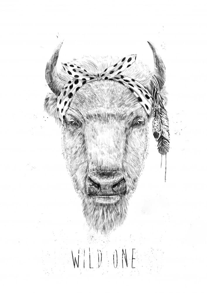 Wild One Buffalo Sketch by Balazs Solti — canvas wall art