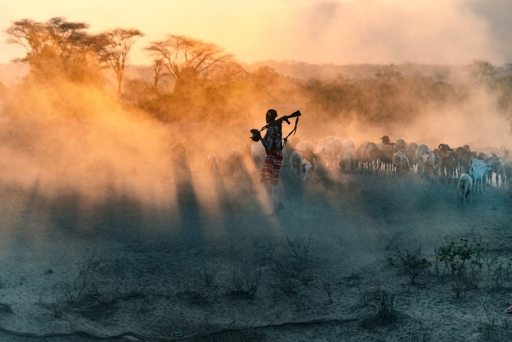 African Herder Sunset by Trevor Cole — canvas wall art