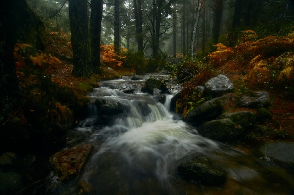 Misty Autumn Stream by Sergio Cameno — canvas wall art
