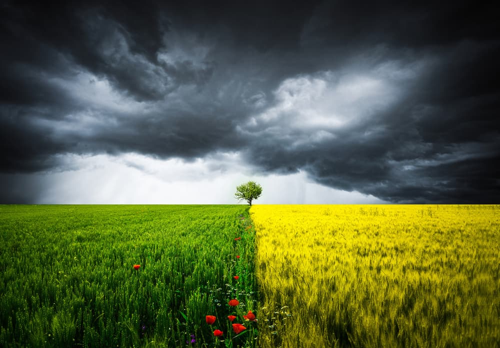 Storm Over Divided Fields by Bess Hamiti — canvas wall art