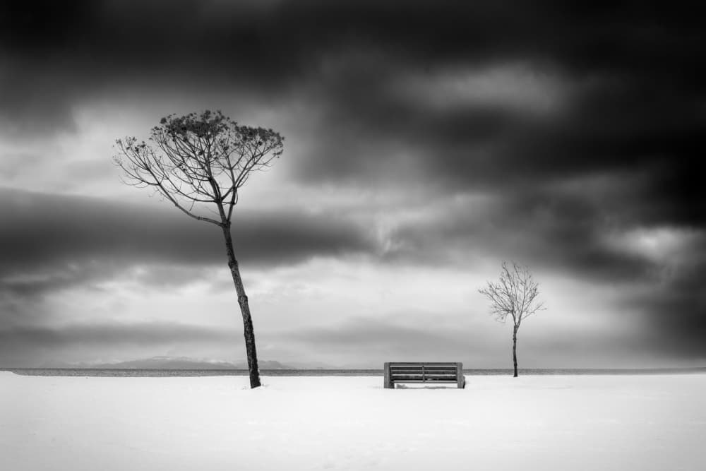 Winter Bench Solitude by George Digalakis — canvas wall art
