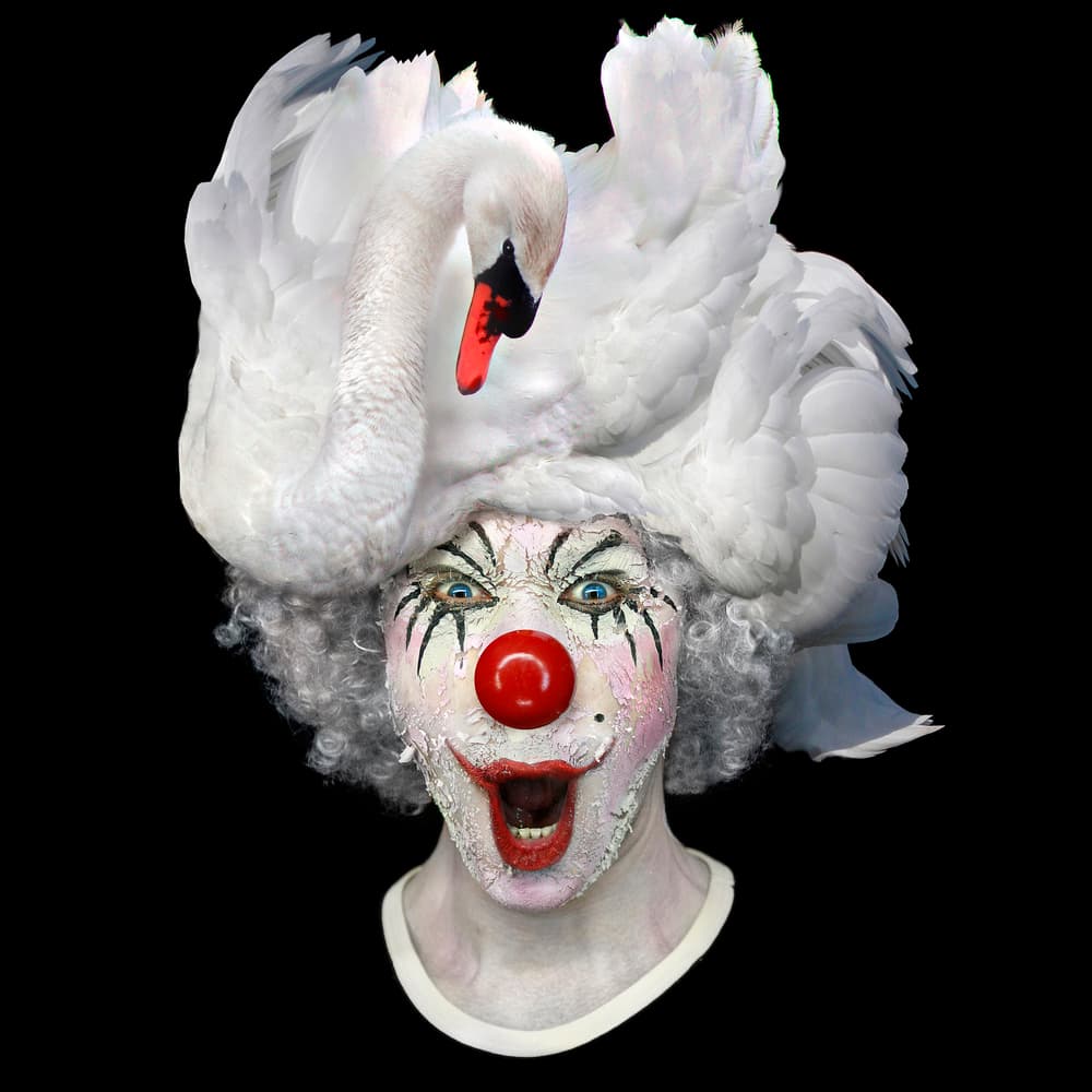 Surreal Clown Swan Head by DDiArte — canvas wall art