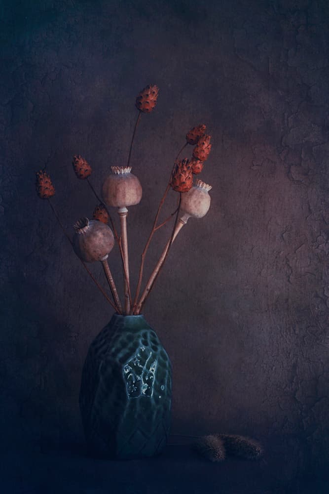Rustic Pods Still Life by Cicek Kiral — canvas wall art