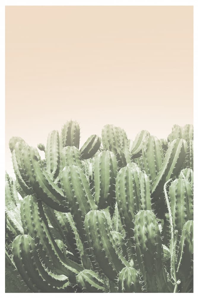 Desert’s Embrace by THE MIUUS STUDIO — canvas wall art