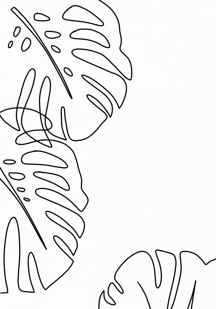 Monstera Line Art by Veronika Boulová — canvas wall art