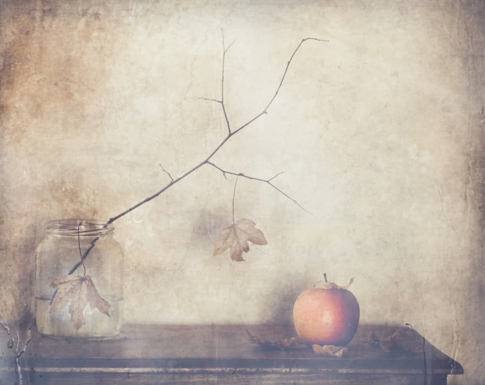 Rustic Autumn Still Life by Delphine Devos — canvas wall art