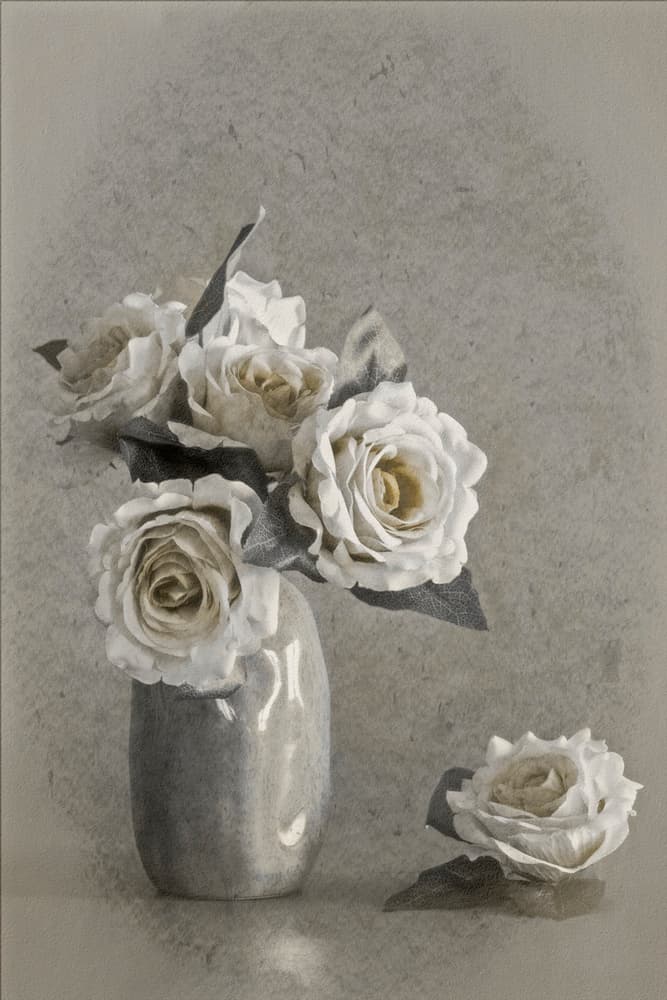 Elegant White Roses by Cicek Kiral — canvas wall art