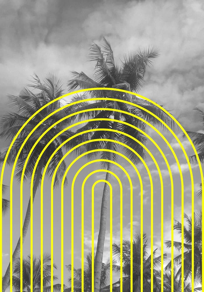 Tropical Echoes by Athene Fritsch — canvas wall art
