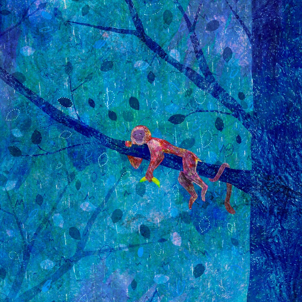 Sleepy Jungle Monkey by Martina Scott — canvas wall art