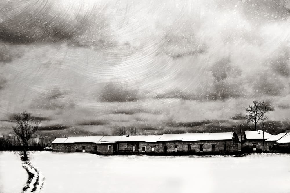 Quiet Winter Farm by Sahar Karami — canvas wall art
