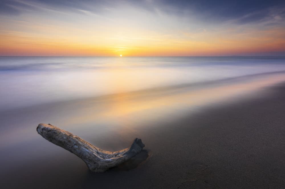 Driftwood Sunset Beach by Andrea Lorenzetti — canvas wall art