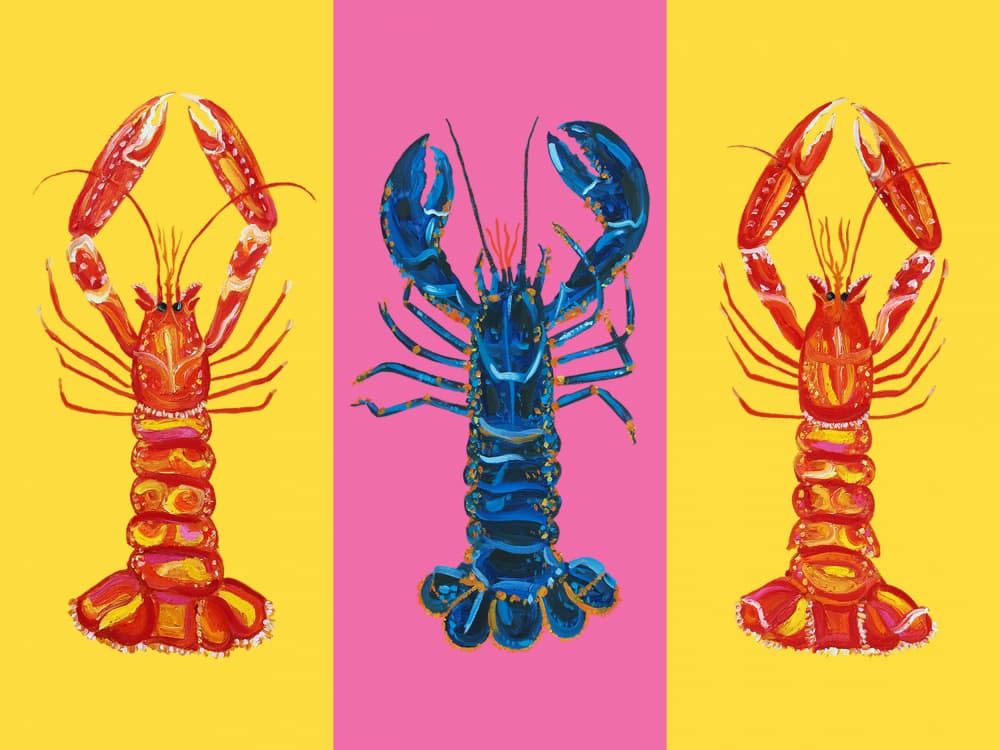 Lobster Langoustines Pop Art 2 by Alice Straker — canvas wall art