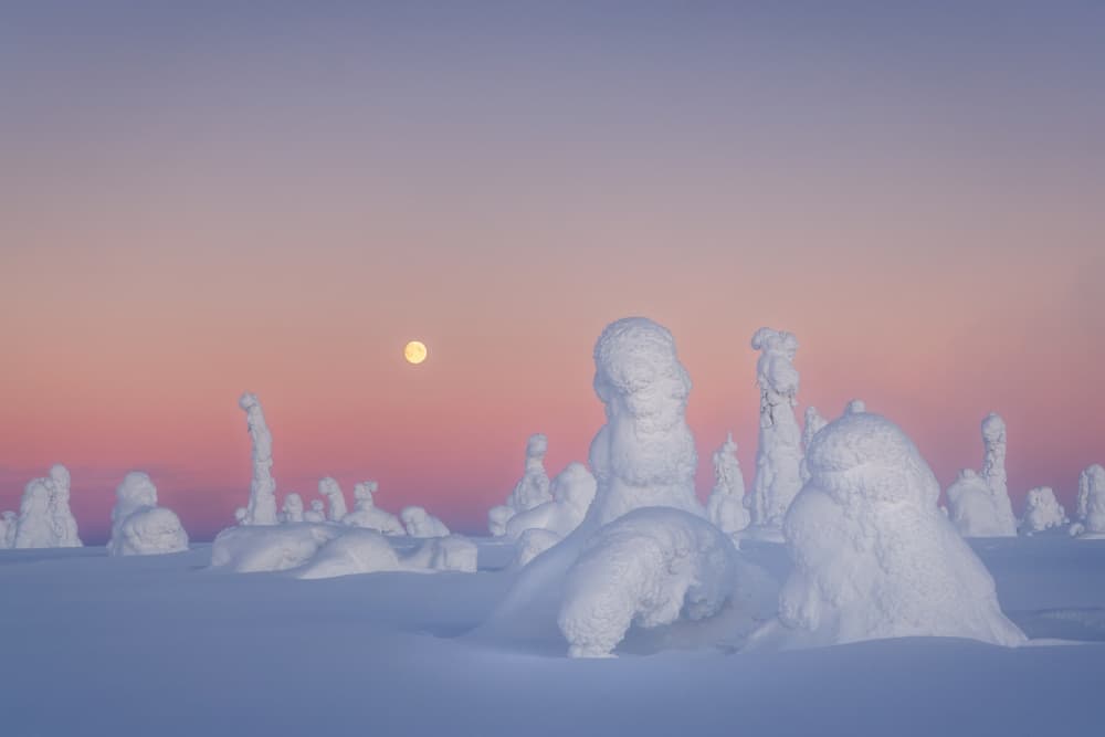 Arctic Moonlit Snow by Liguang Huang — canvas wall art