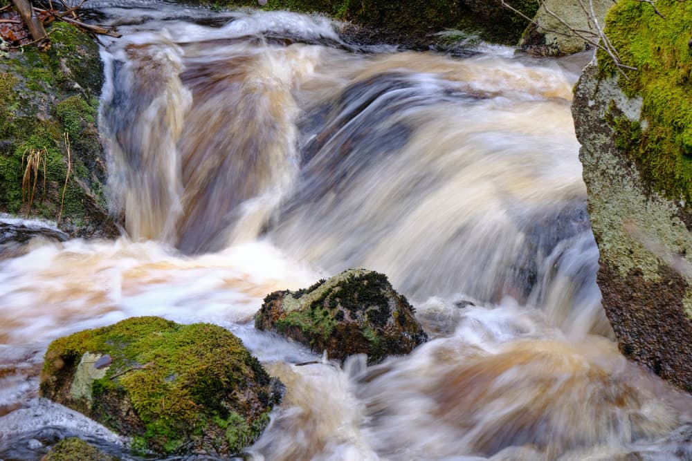 Serene Forest Stream by Geertjan Plooijer — canvas wall art