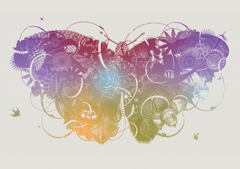 Vibrant Fantasy Butterfly by Jaco Putker — canvas wall art