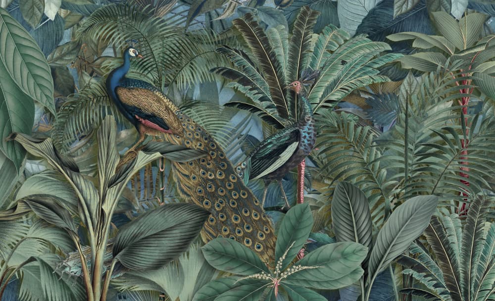 Lush Jungle Peacocks by Andrea Haase — canvas wall art