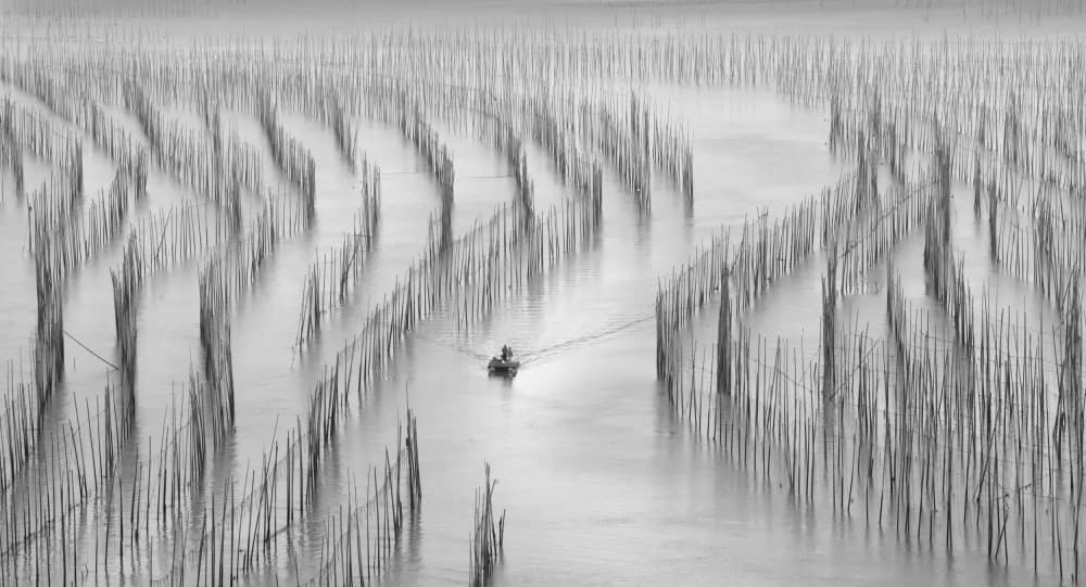 Serene Ocean Farm by Angela Muliani Hartojo — canvas wall art
