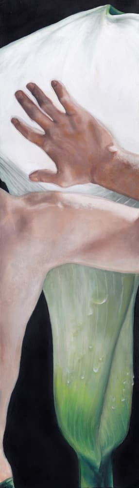 Hand Touching Calla Lily by Viccy Wanliss — canvas wall art