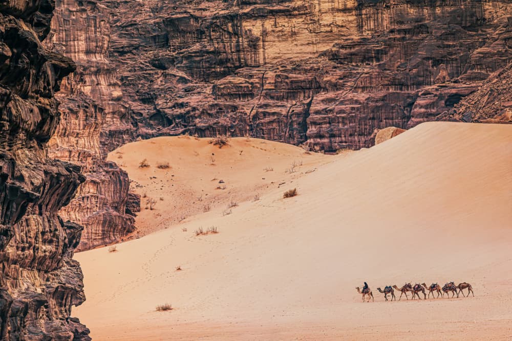 Desert Camel Train by Marco Tagliarino — canvas wall art