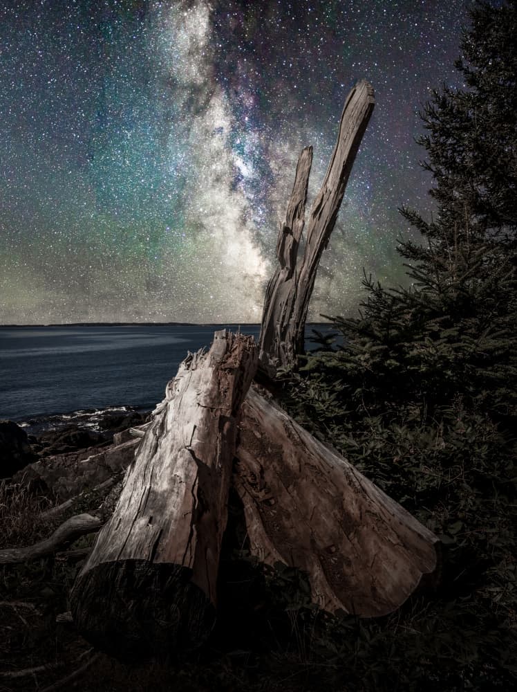 Milky Way Coastline Log by Ed Esposito — canvas wall art