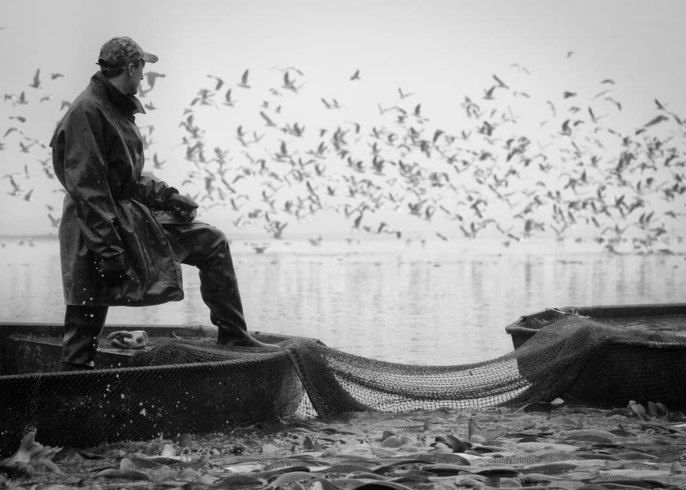 Fisherman and Flying Birds by Robert Adamec — canvas wall art