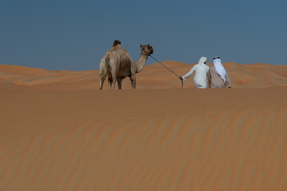 Bedouin Desert Companions by Mrinal Nath — canvas wall art