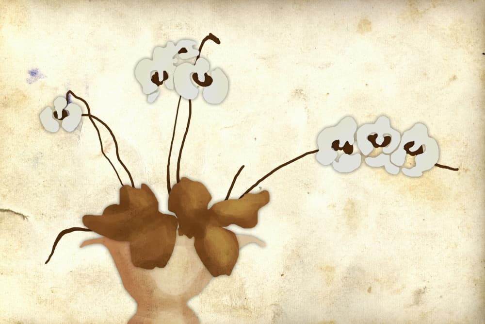 Potted White Orchids by Rafal Kulik — canvas wall art