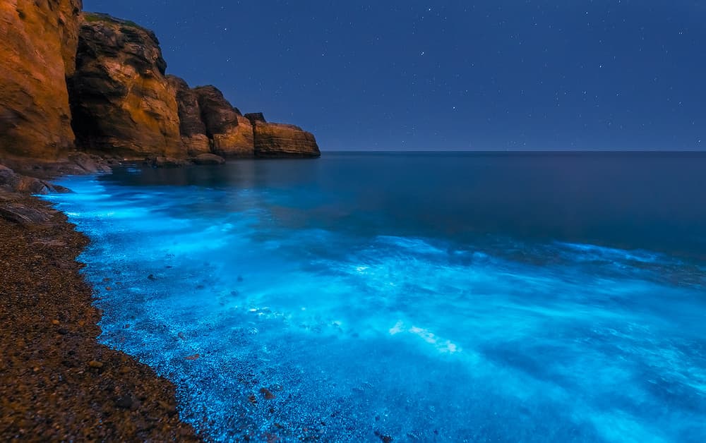 Bioluminescent Ocean Glow by Hua Zhu — canvas wall art