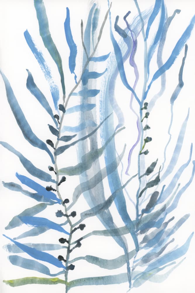 Abstract Sea Plants by cartissi — canvas wall art