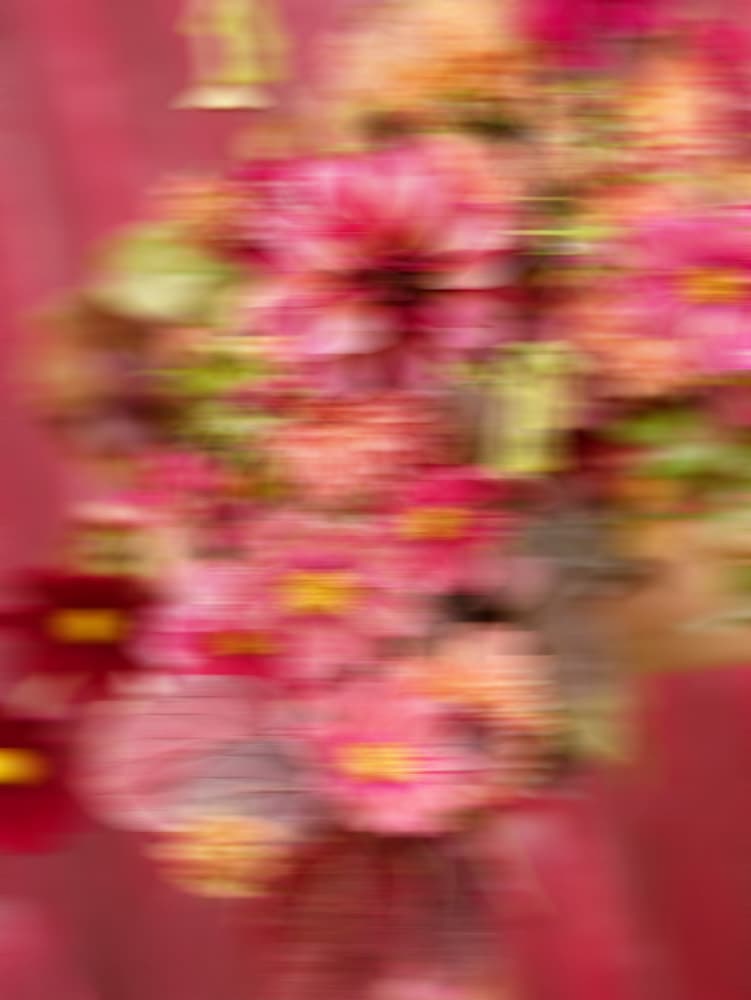 Whimsical Blur | Abstract Floral Motion Photography by Raisa Zwart — canvas wall art
