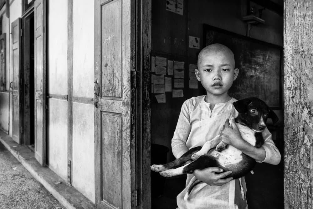 Young Monk and Dog by Emel Sefer — canvas wall art