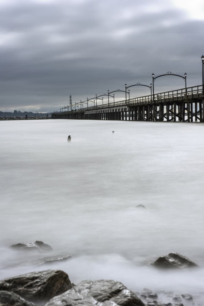 Misty Pier Serenity by Lynann Colligan — canvas wall art
