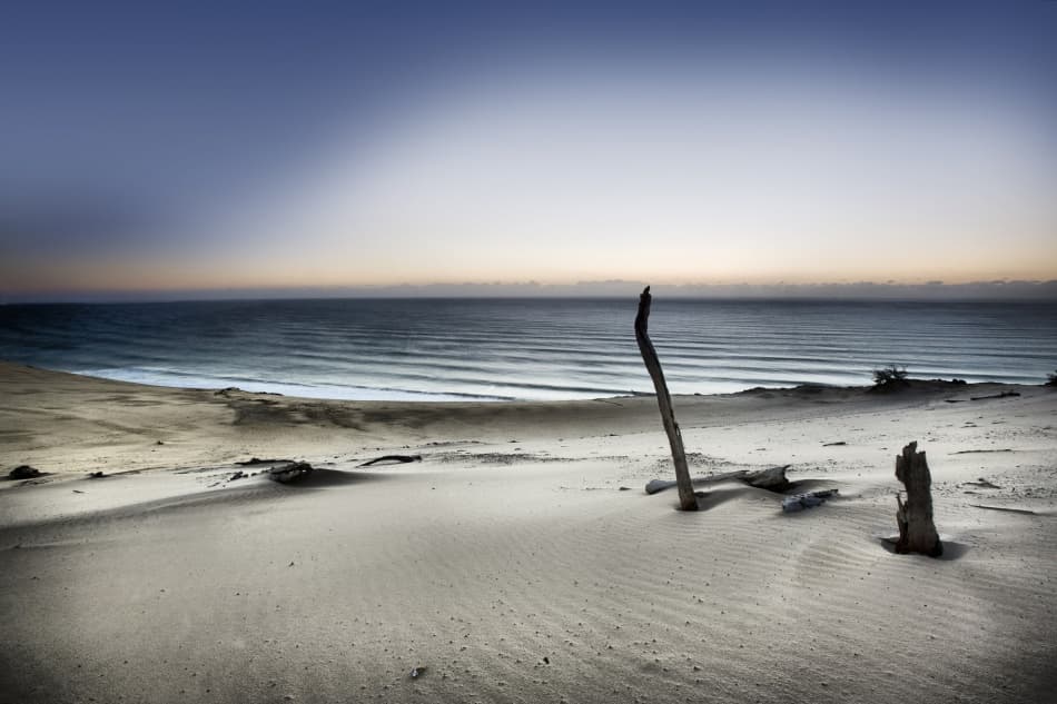 Driftwood Beach Serenity