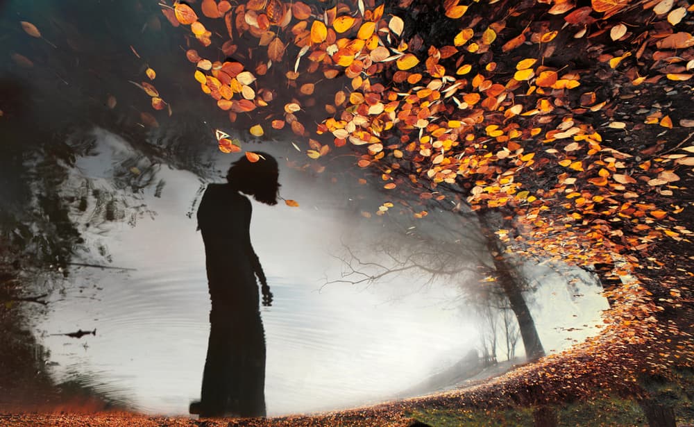 Autumn Reflection Silhouette by Siarhei Mikhaliuk * — canvas wall art