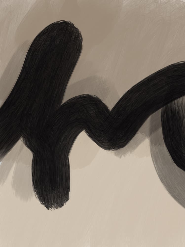 Flowing Black Curve by Studio Palette — canvas wall art