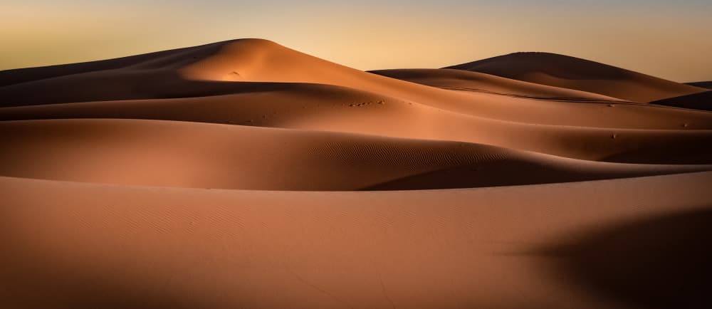 Golden Desert Dunes by Linda Wride — canvas wall art