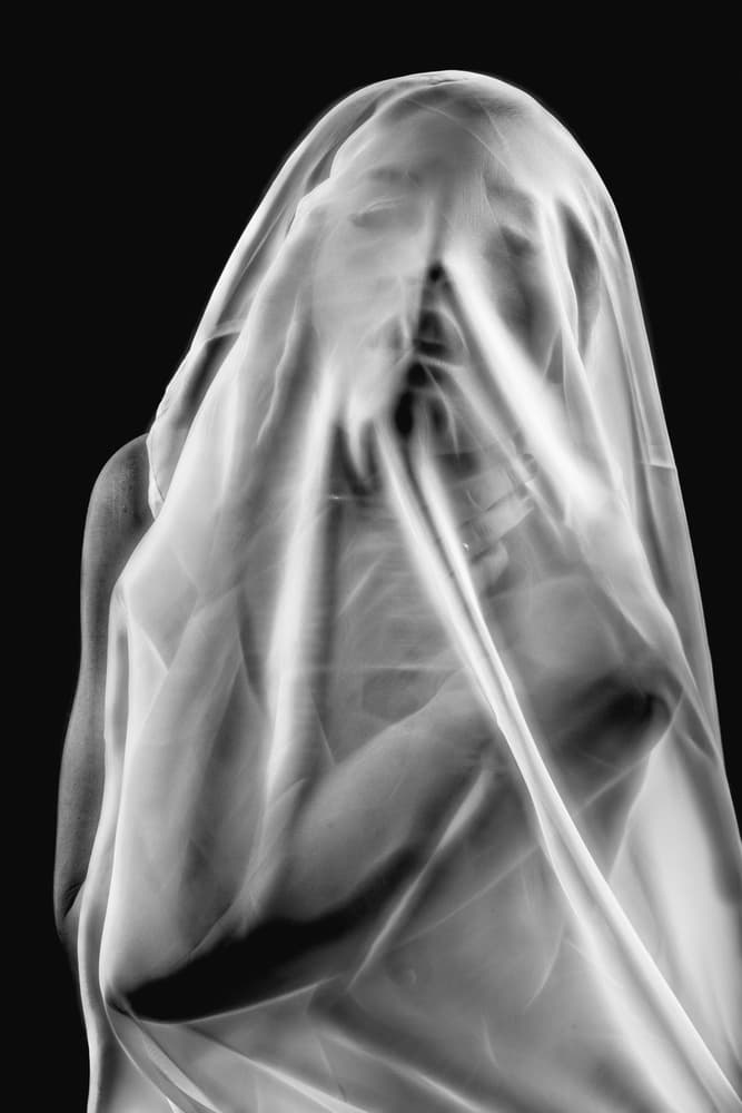 Veiled Mystery Woman by Colin Dixon — canvas wall art