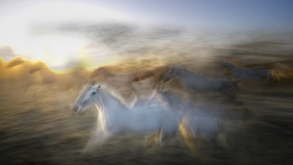 Golden Galloping Horses by Milan Malovrh — canvas wall art