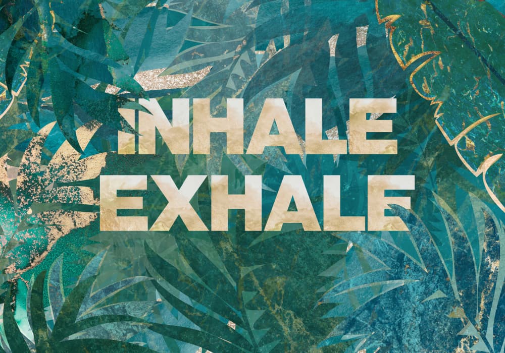 Inhale Exhale Tropical Calm by Sarah Manovski — canvas wall art