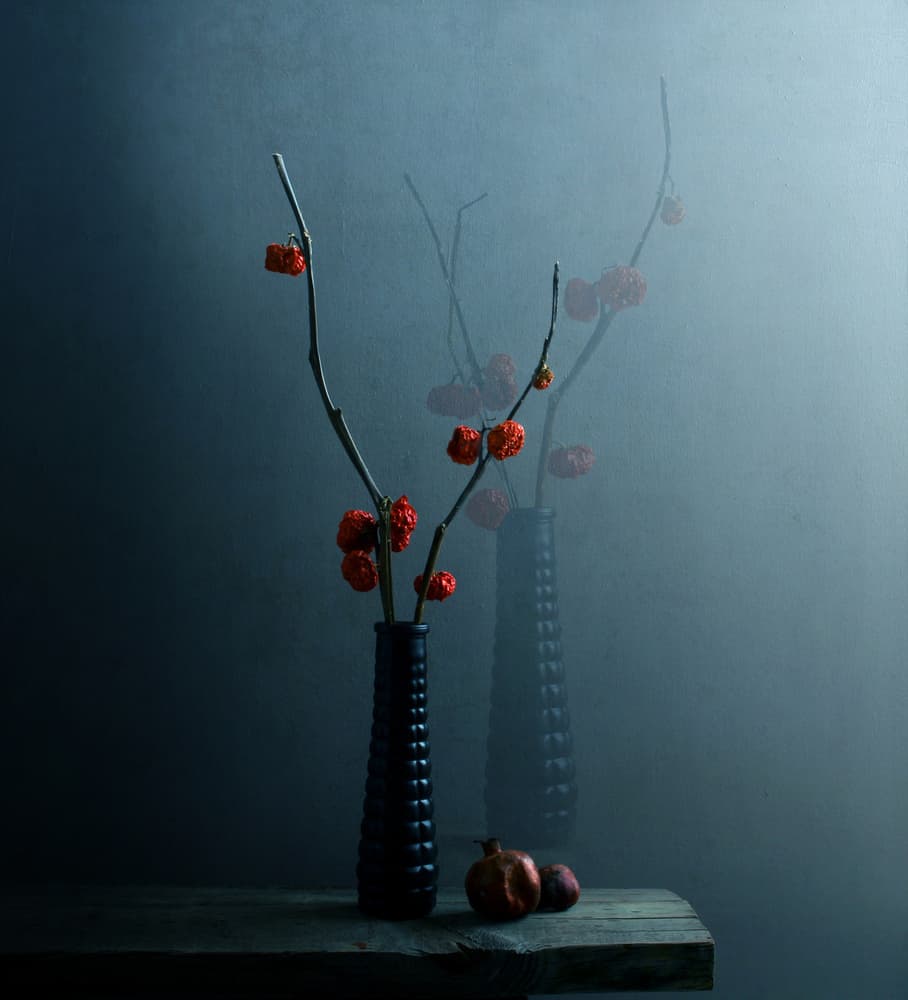 Moody Botanical Still Life by Margaret Halaby — canvas wall art