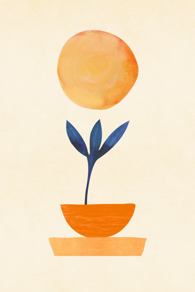 Little Sprout by Kristian Gallagher — canvas wall art