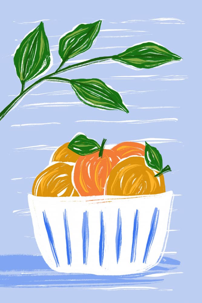 Citrus Fruit Bowl by Martina — canvas wall art